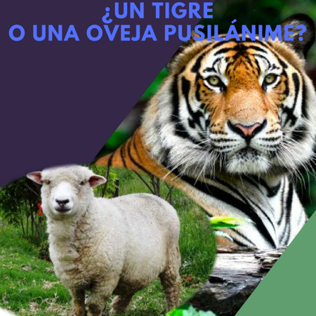 tigre7.png