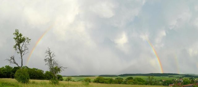 Regenbogen2.jpg