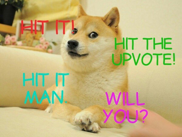 Doge 11072017112159.jpg