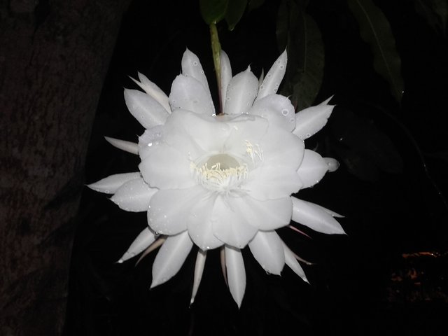 20170613_211756.jpg