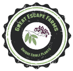 Great-Escape-Farms-Color-150px.png
