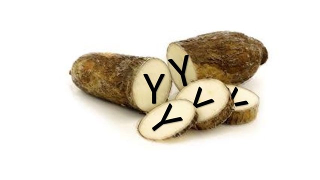 yucacoin.jpg