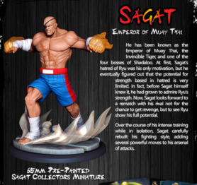 sagat-1523057409923_medium.png