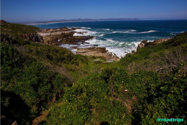 Cliff-path-at-Hermanus3.jpg