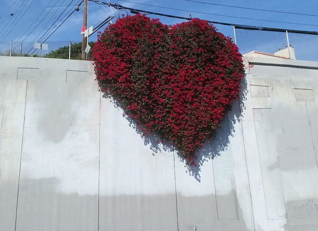 heart along cemebr and freeway , flower from the dust.jpg