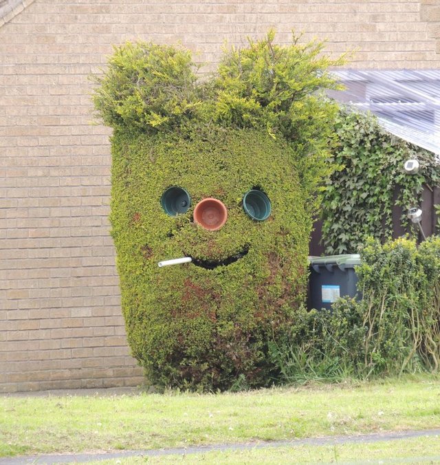 hedge_funny_face_smoking.jpg