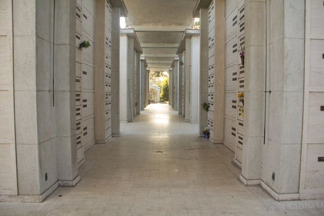 20171008-OaklandPiedmontCemetary10-8-58.jpg