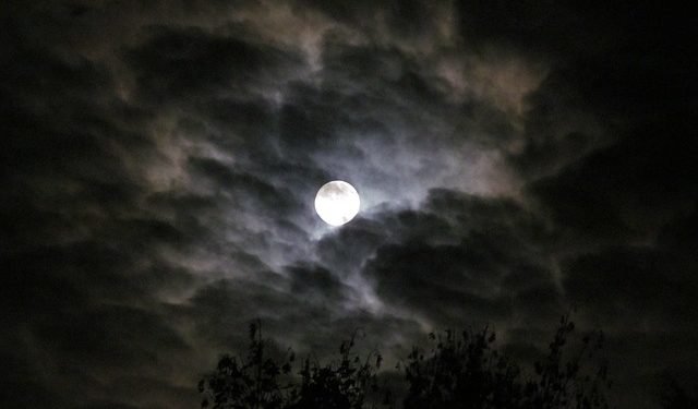 full moon2.jpg