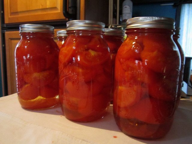 Tomatoes 1i.jpg