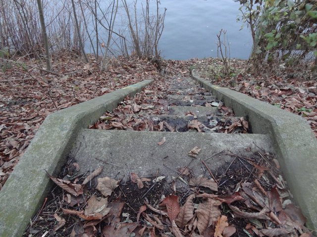DSC09566.JPG