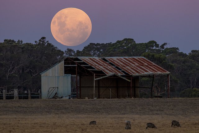 _SI_1561_SuperBloodMoon.jpg