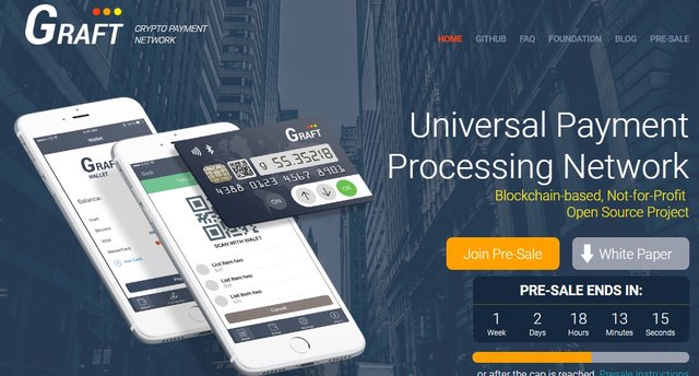 graft-network-ico-review.jpg