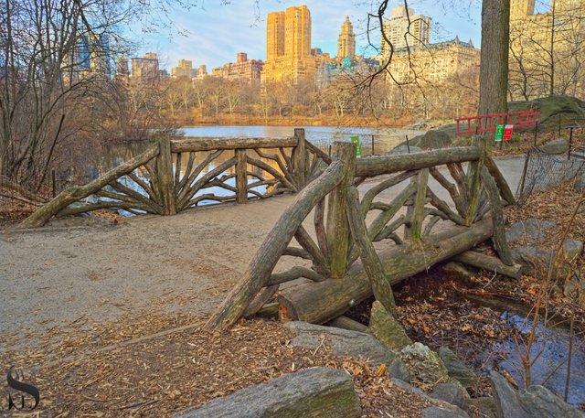 Bridge in Central Park-2.jpg