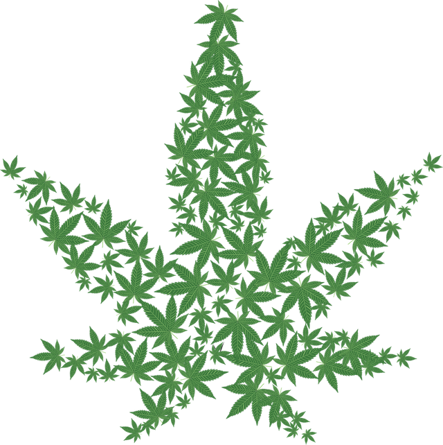 cannabis-2125586_1280.png