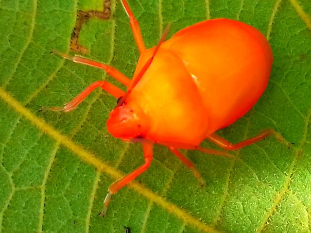 20180122_153413.jpg