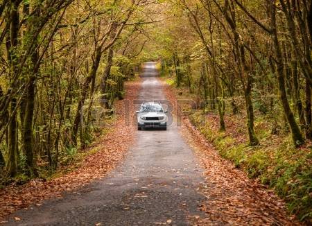 24158618-car-on-a-road-in-the-forest-in-autumn-.jpg