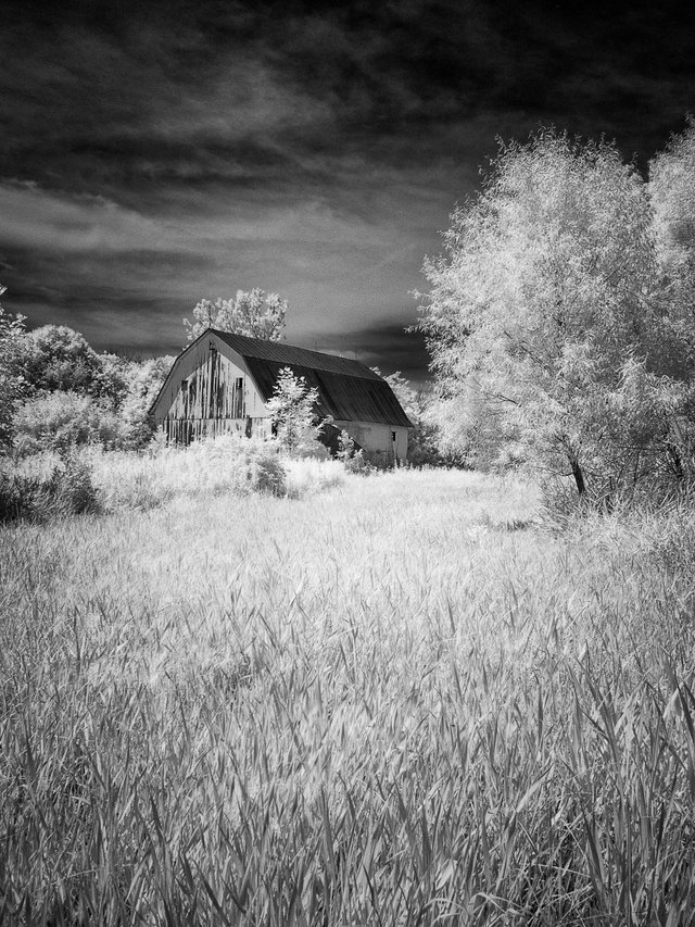 P7180901 barn silver 2.jpg