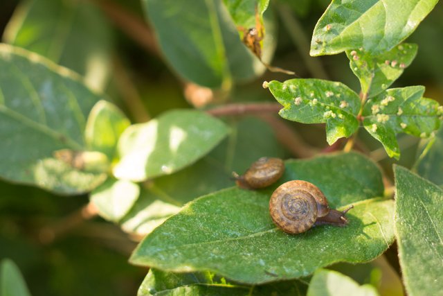 Austin 360-Nature-1-2.jpg