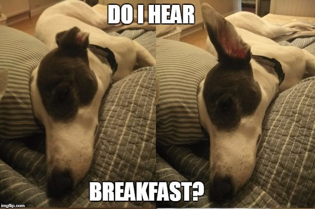 Do I hear breakfast.jpg