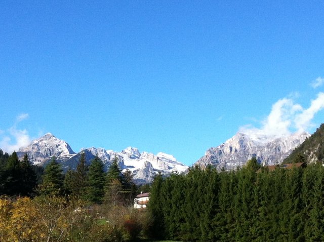 Foto 5.JPG