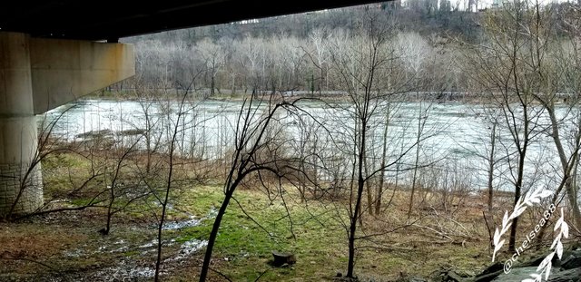 20180406_191241.jpg