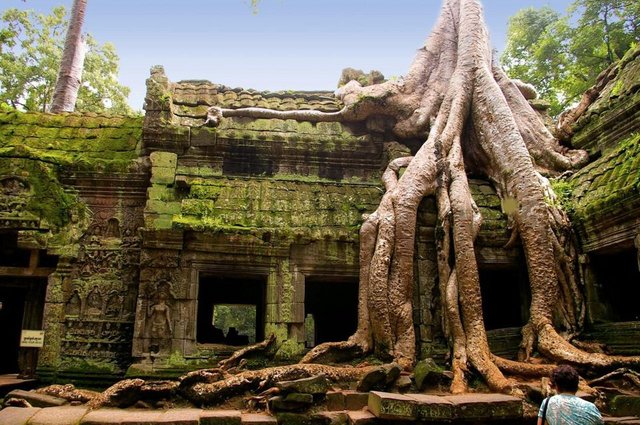 Ta Prohm, Cambodia.jpg