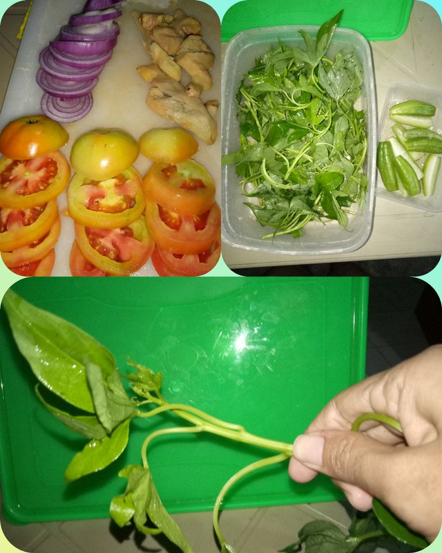CollageMaker_20180105_222913840.jpg