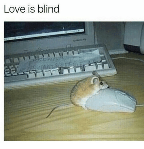 love-is-blind-16302979.png