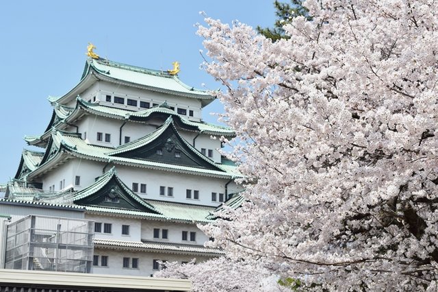 城（名古屋城）.jpg