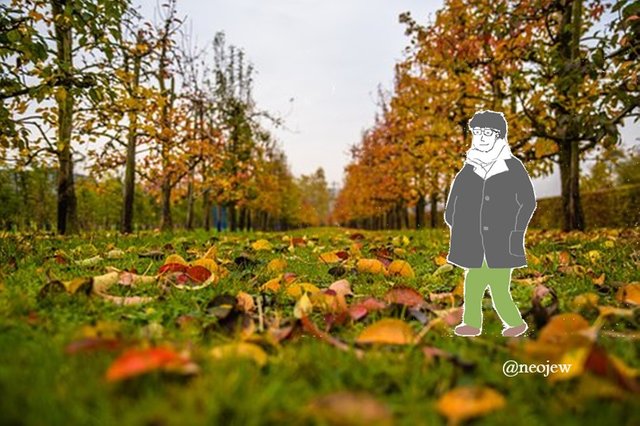 autumn.jpg