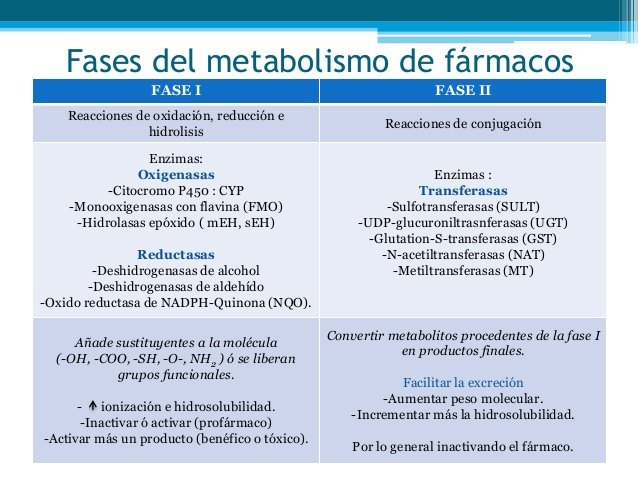 metabolismo-de-frmacos-10-638.jpg