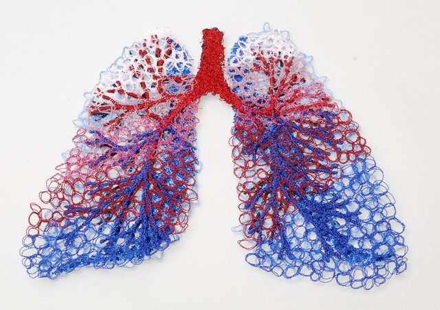 asbestos-lungs-1.jpg