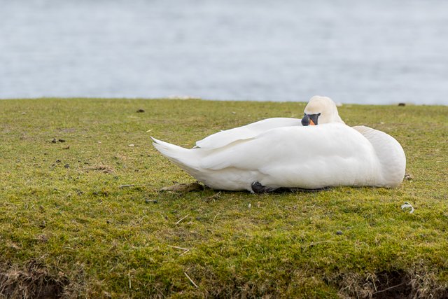 amsterdamse-waterleidingsduinen-8.jpg