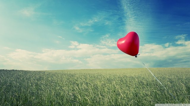 alone_heart_flying-wallpaper-1920x1080.jpg