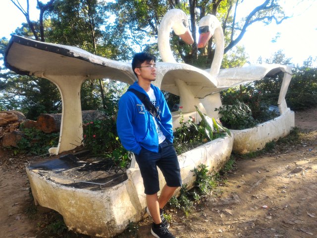 P_20180120_163055.jpg