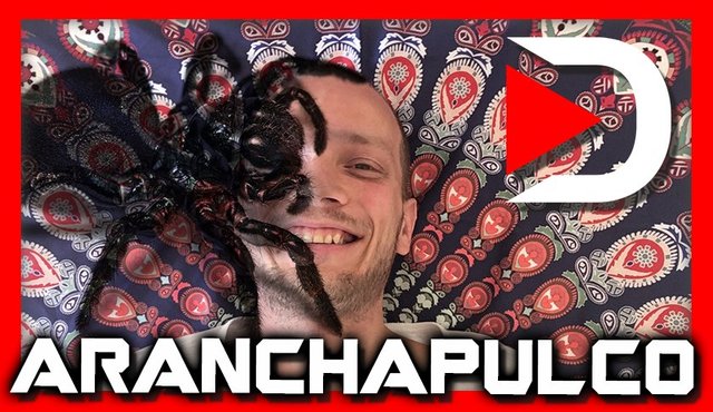 Aranchapulco-lol.jpg