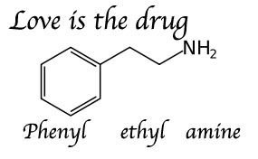 phenylethylamine.jpg