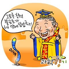 연색체 그림.jpg