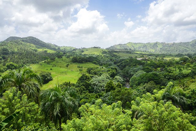 die-landschaft-um-den-pico-duarte-in-der-dominikanischen-republik-verspricht-regenwald-feeling-pur.jpg