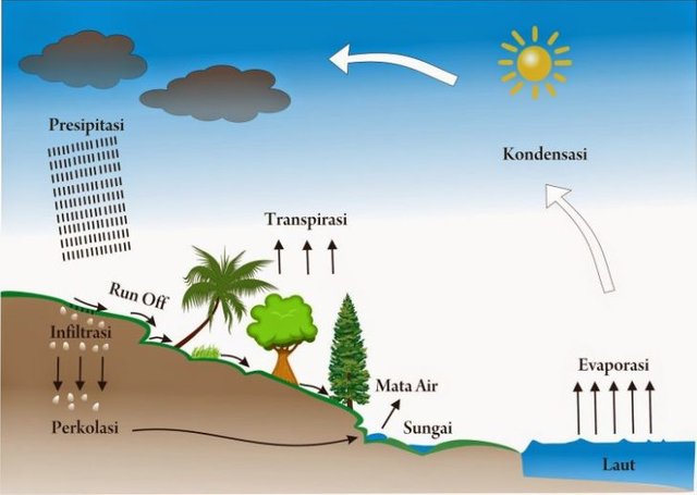 Proses-Siklus-Hidrologi.jpg