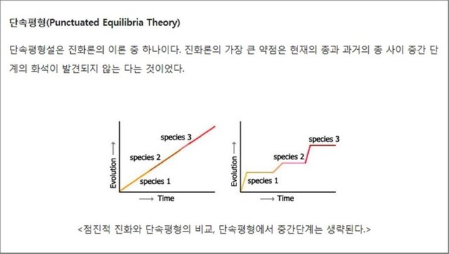 단속평형.jpg