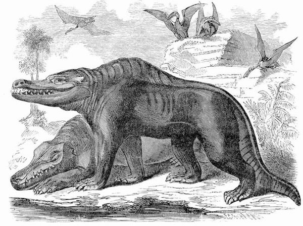 Megalosaurus.jpg