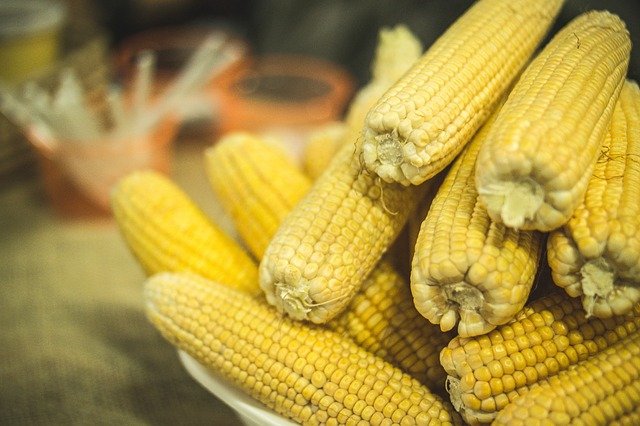 corn-2251499_640.jpg