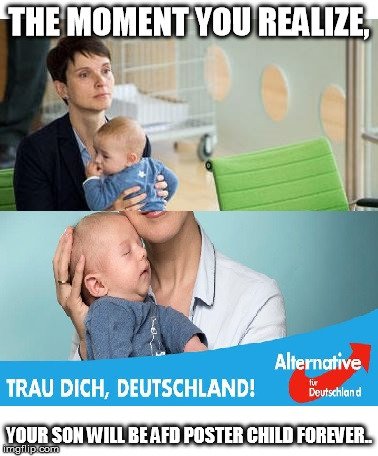 petry sohn meme petrygeht.jpg