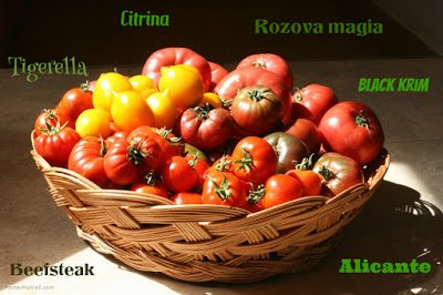 Tomato Cultivars.jpg