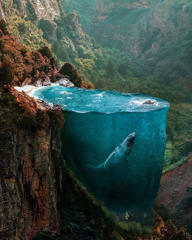 surreal-digital-art-huseyin-sahin-1-58d37c723e6fa__880.jpg