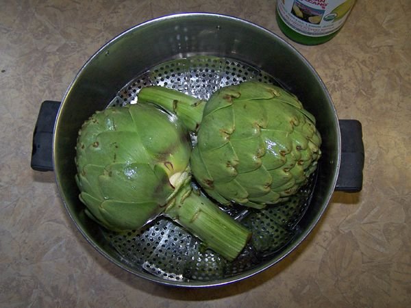 Artichokes - in pot crop April 2018.jpg