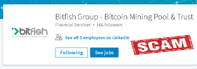 Bitfish Logo.PNG