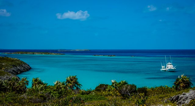 Water_Cay_(Big_Water_Cay)-1395.jpg