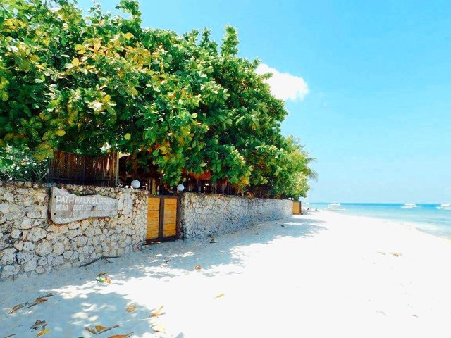 Basdaku white sand beach in Moalboal, Cebu Philippines — Steemit